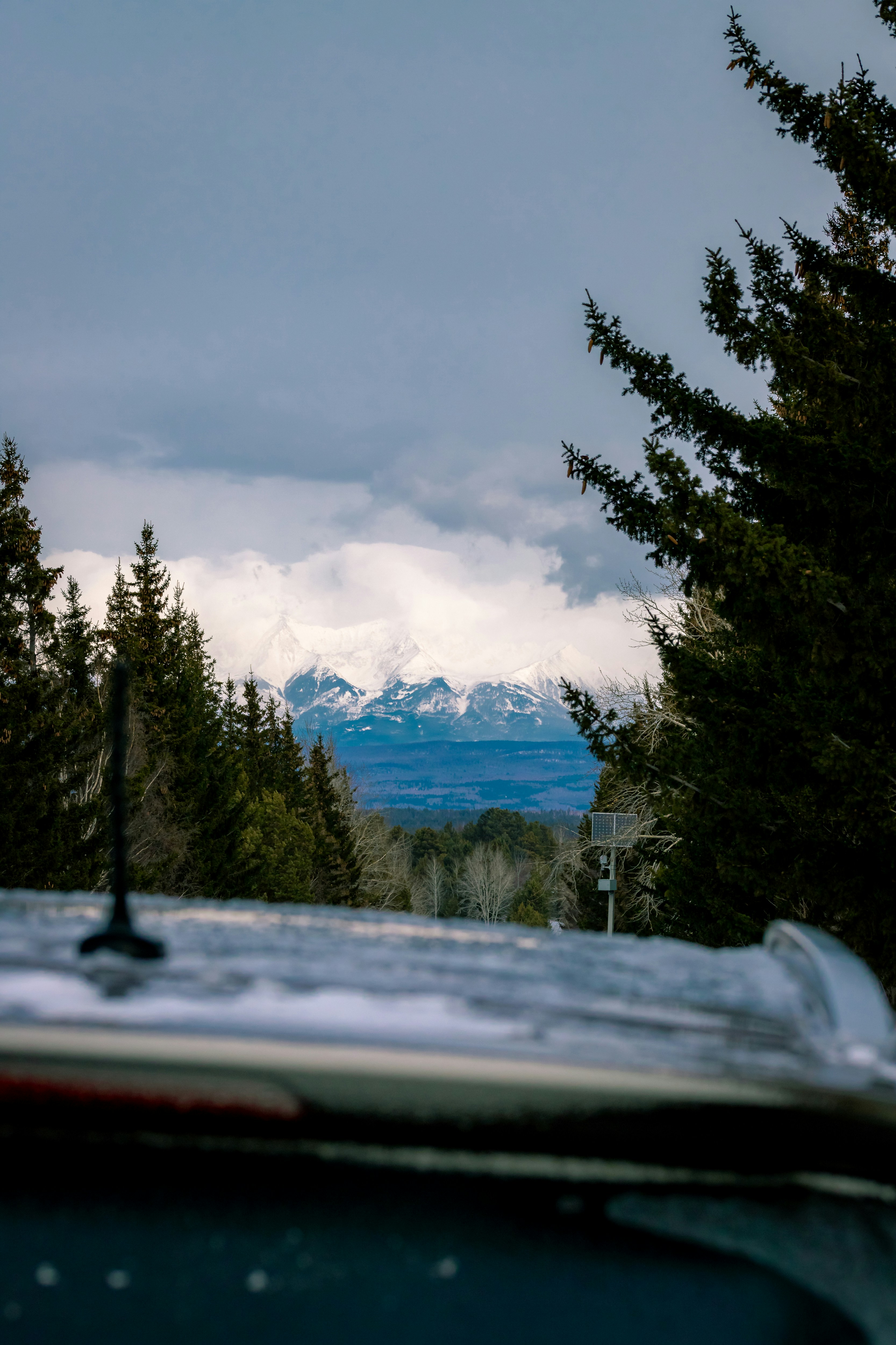 Green pine trees near mountain under white clouds during daytime photo ...