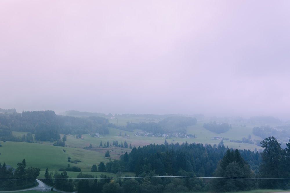 green grass field and trees under white sky during daytime