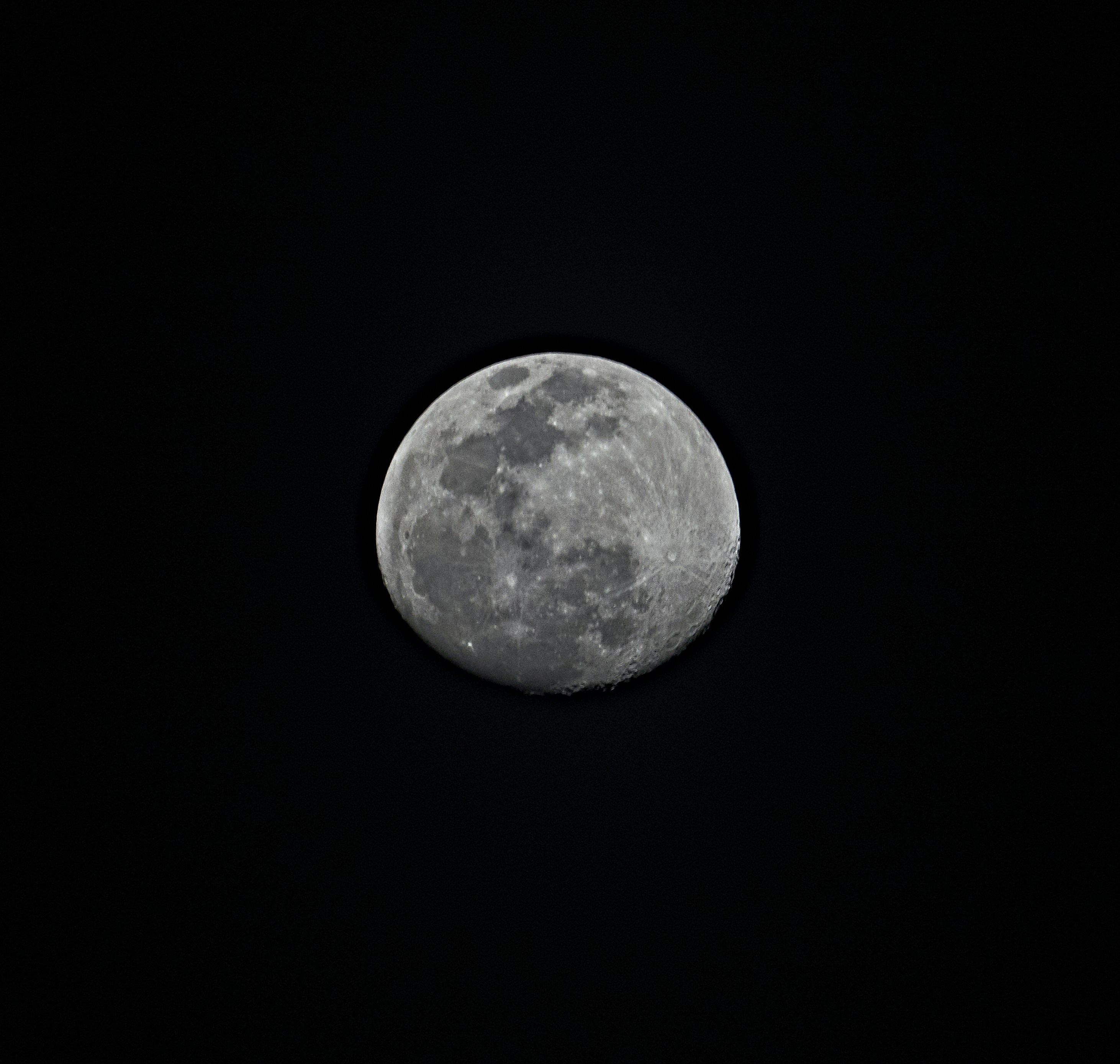 Photo by suicide_chewbacca