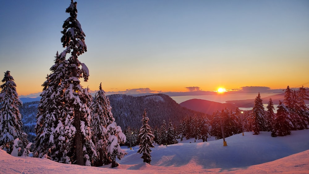 snow covered trees and mountains during sunset