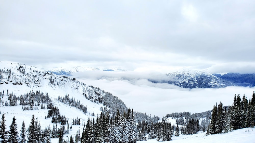 Schneebedeckter Berg tagsüber