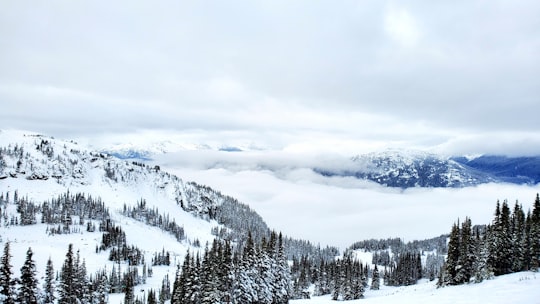 snow covered mountain during daytime in Whistler Blackcomb Canada