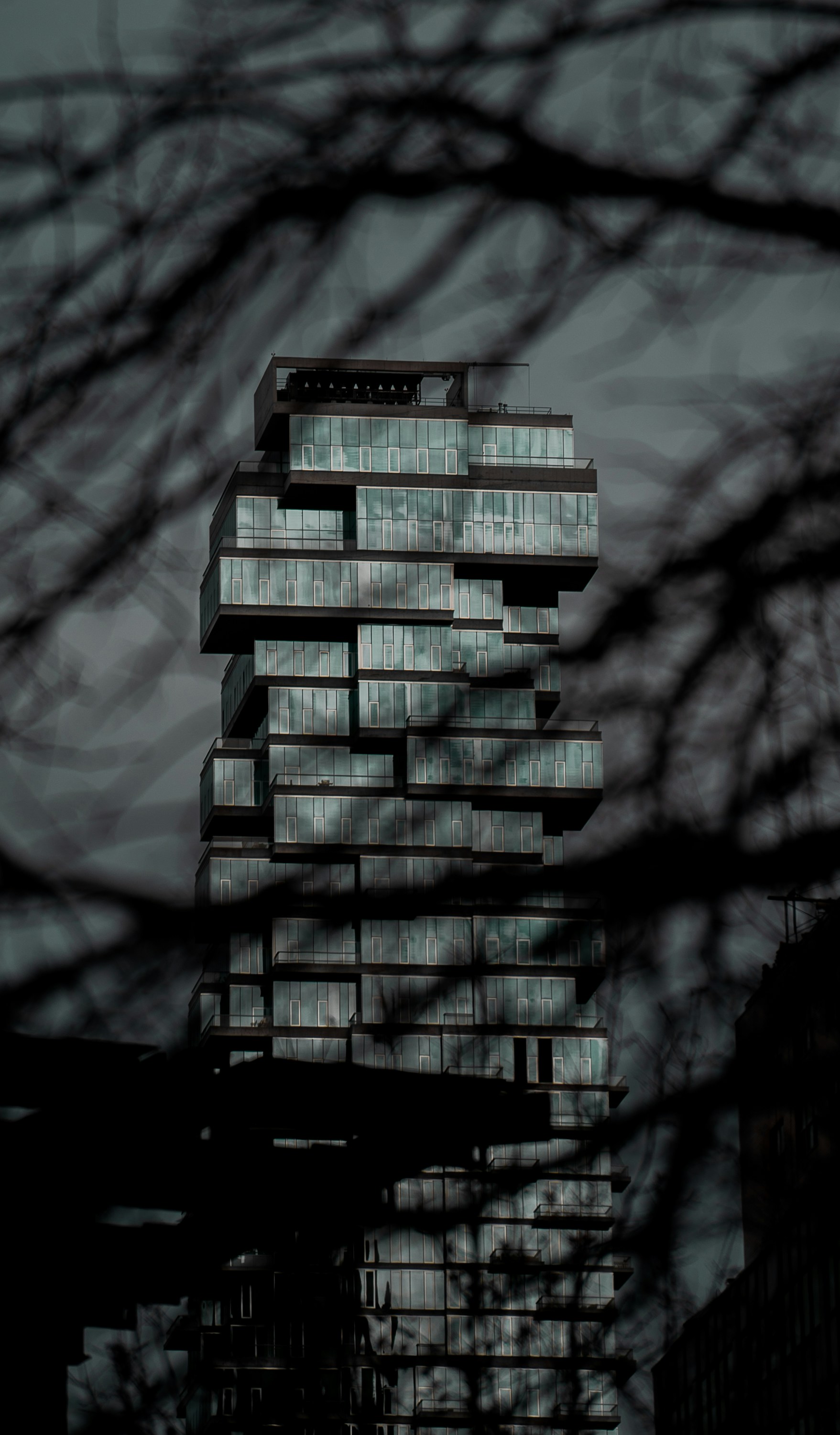 Photo by 535_productions