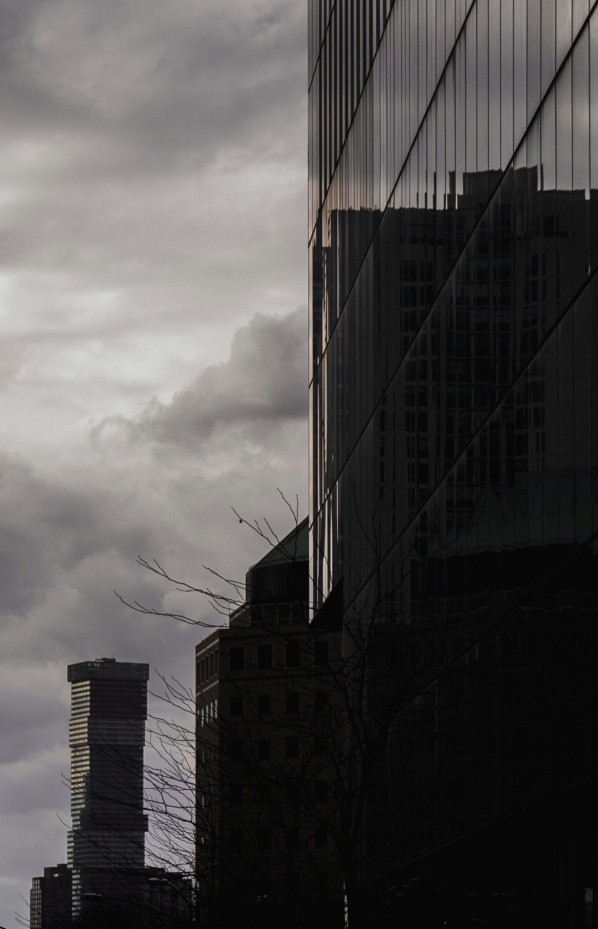 Photo by 535_productions