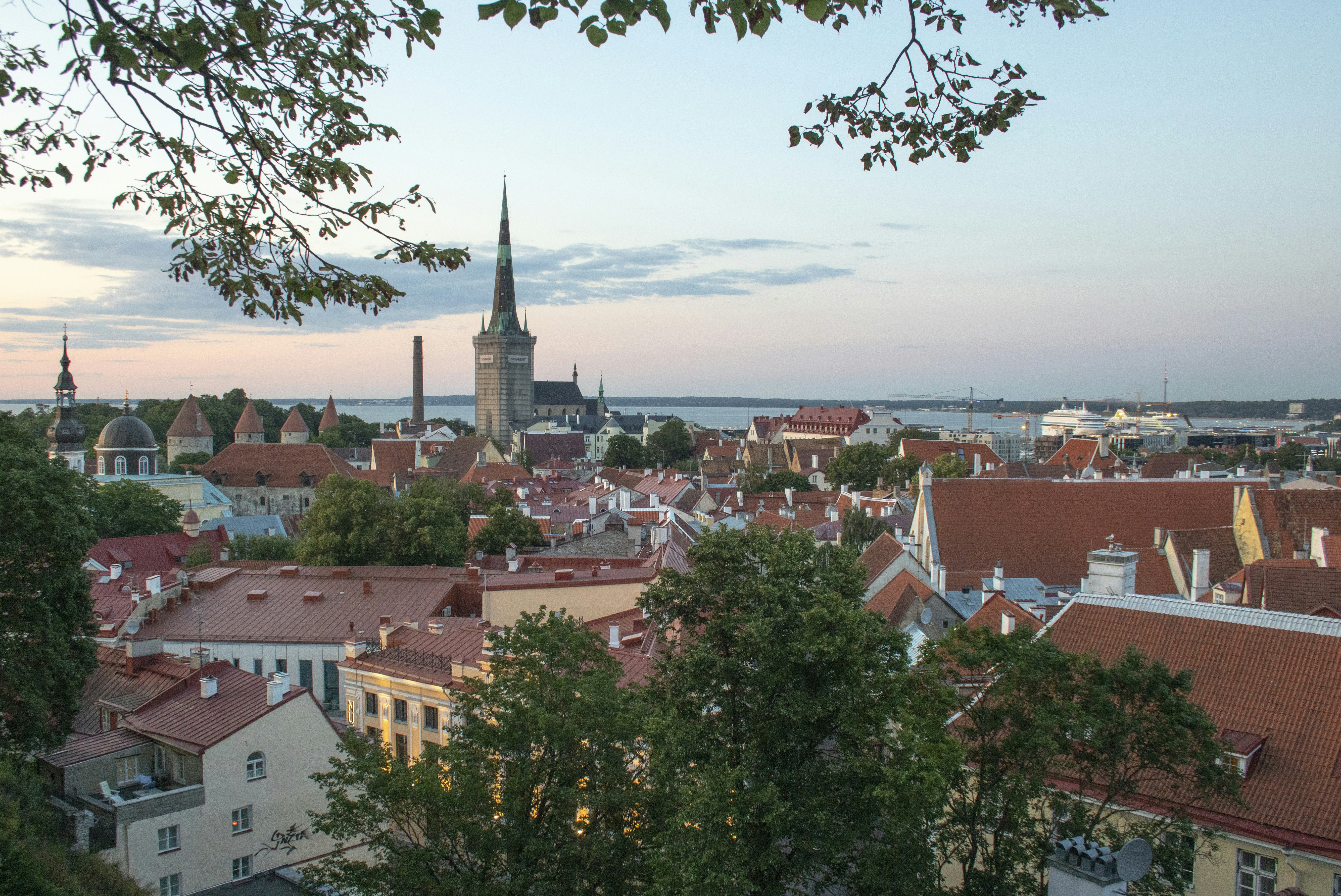 brown and white concrete houses during daytime estonia teams background
