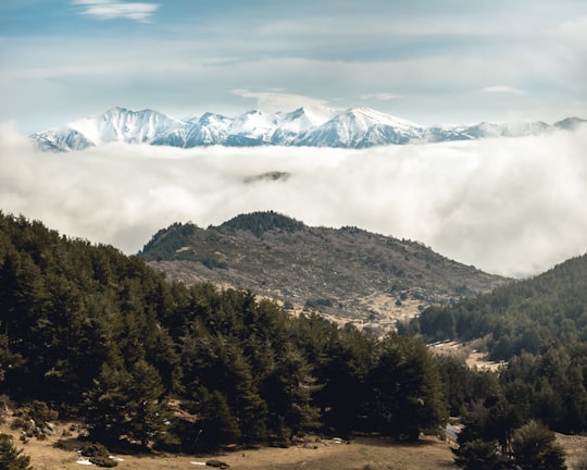 green trees near snow covered mountain during daytime in Pyrénées-Orientales France