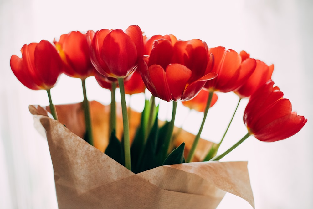 red tulips in brown paper bag
