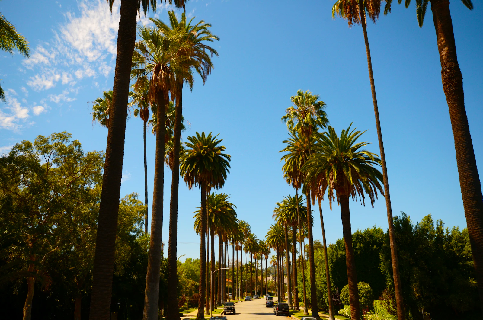 Four Seasons Los Angeles at Beverly Hills Welcomes Back GM Sebastian Hinsch