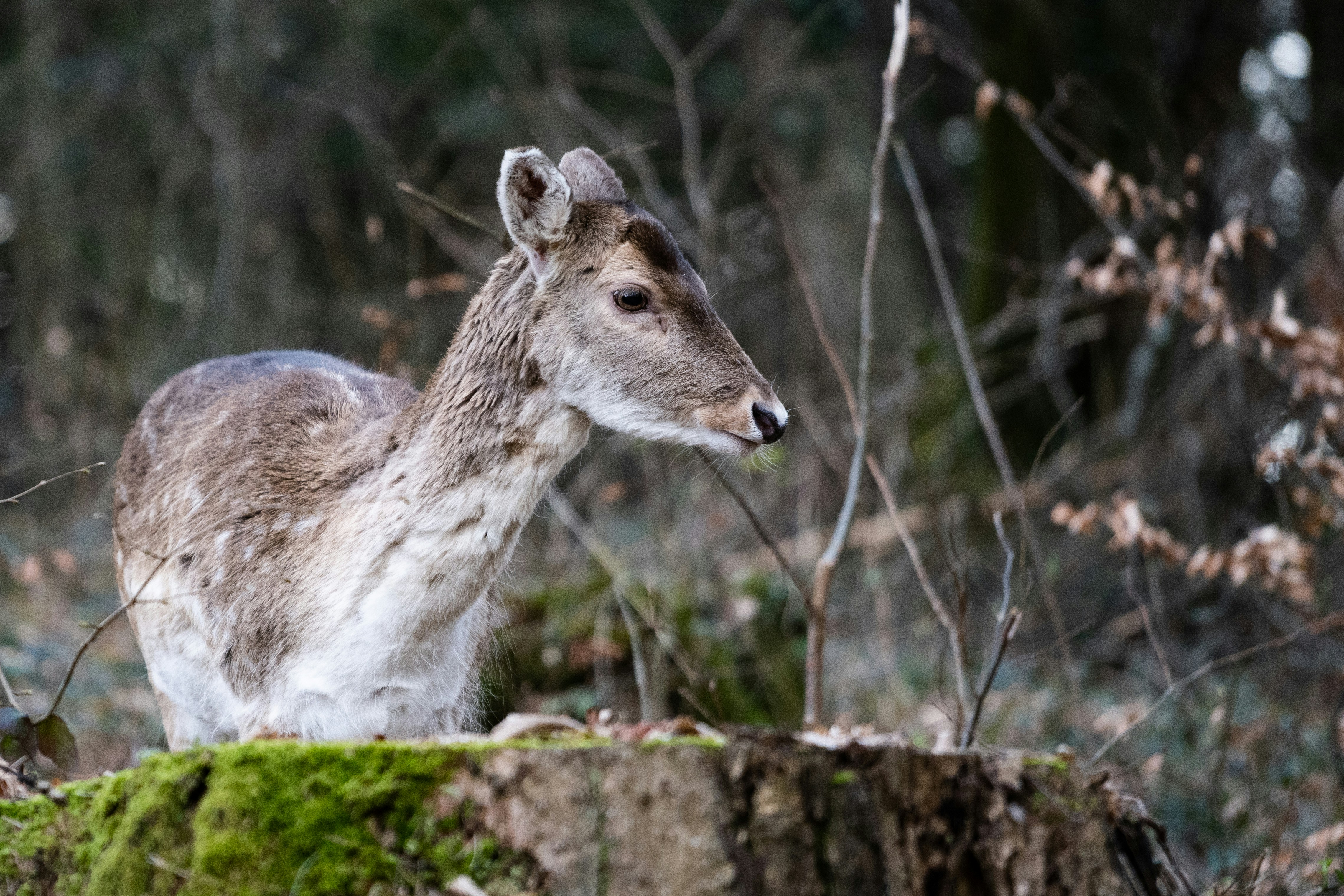 Photo by arnaudbouchard