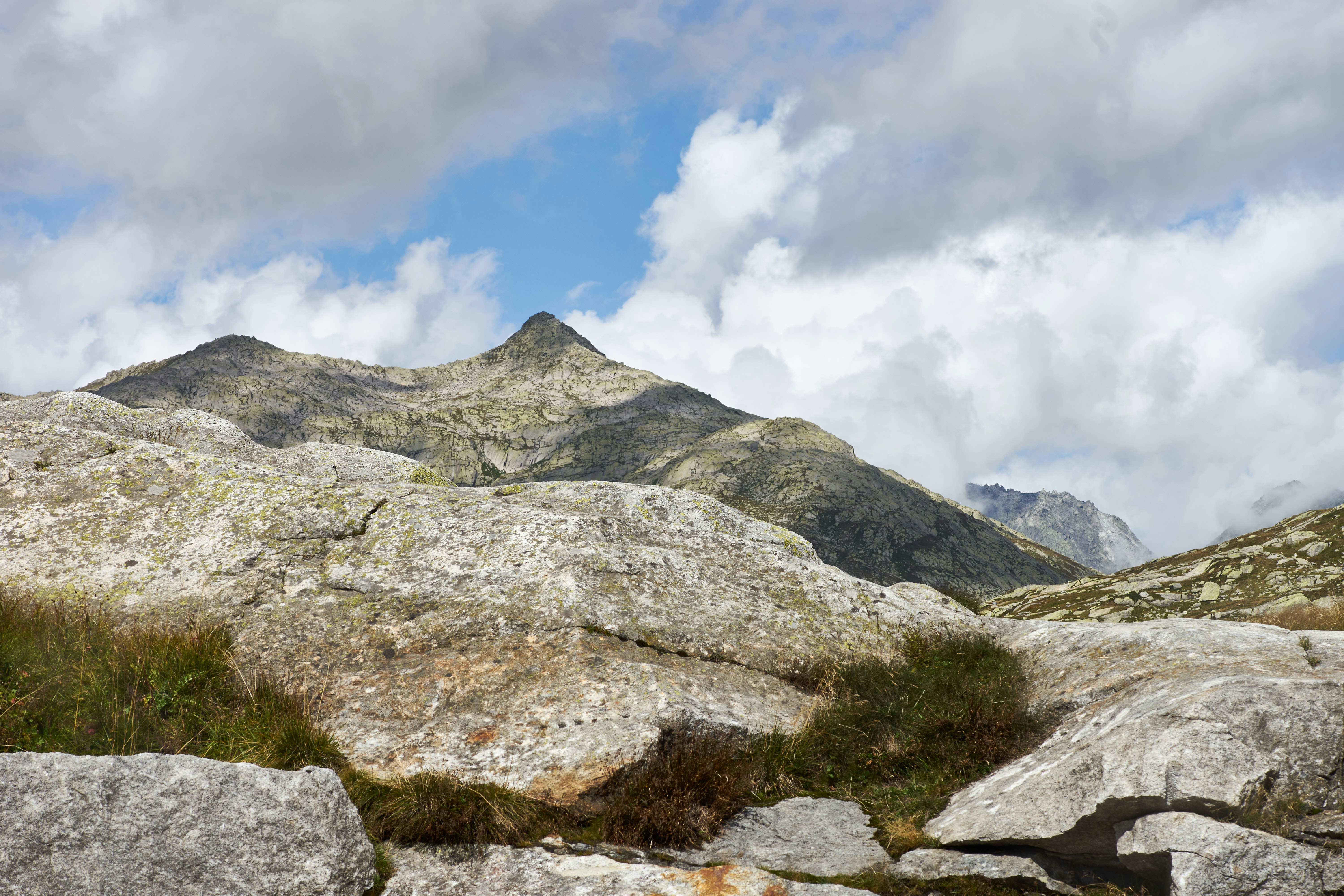 Photo by wolfgang_hasselmann