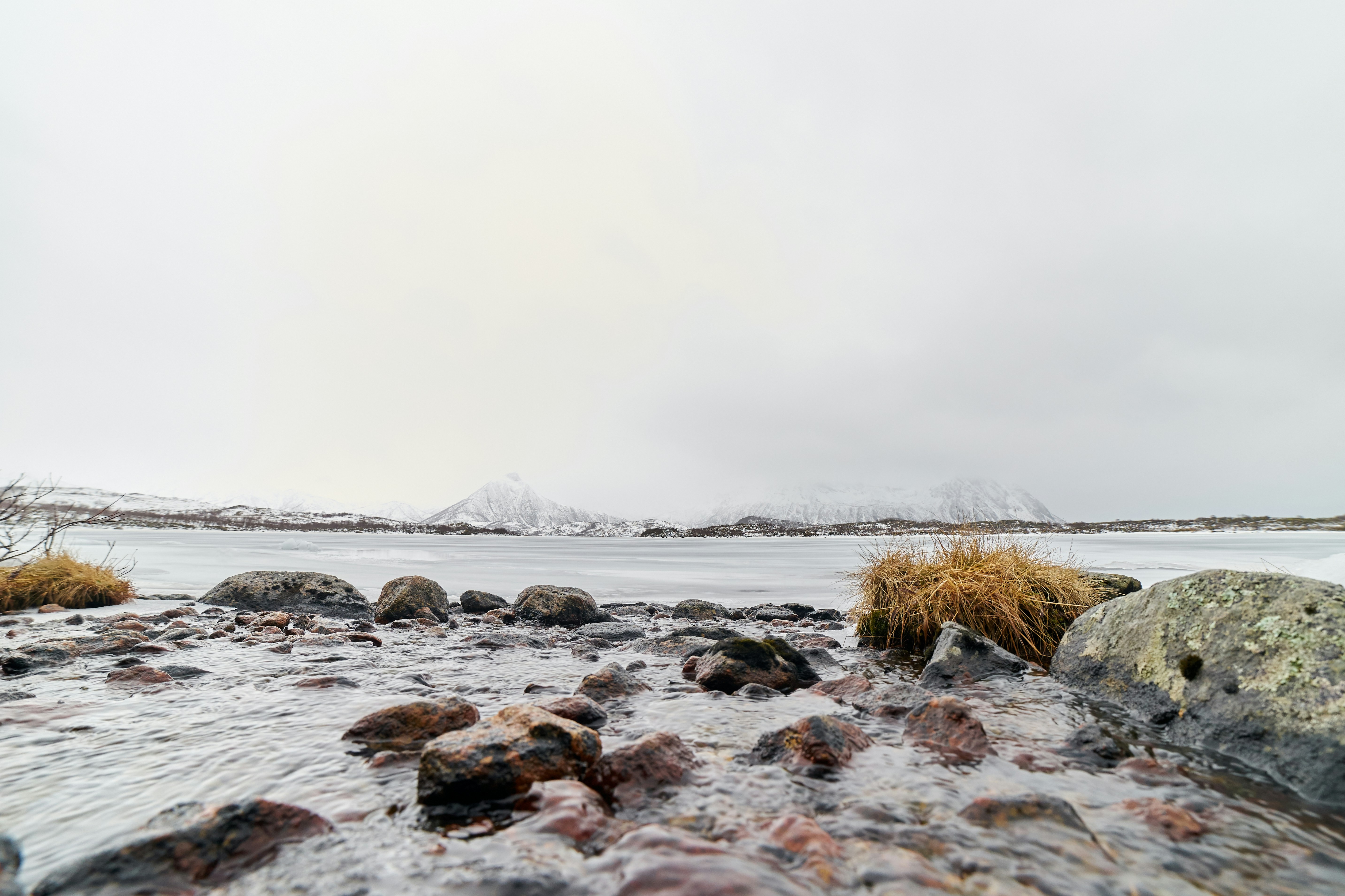 Photo by wolfgang_hasselmann