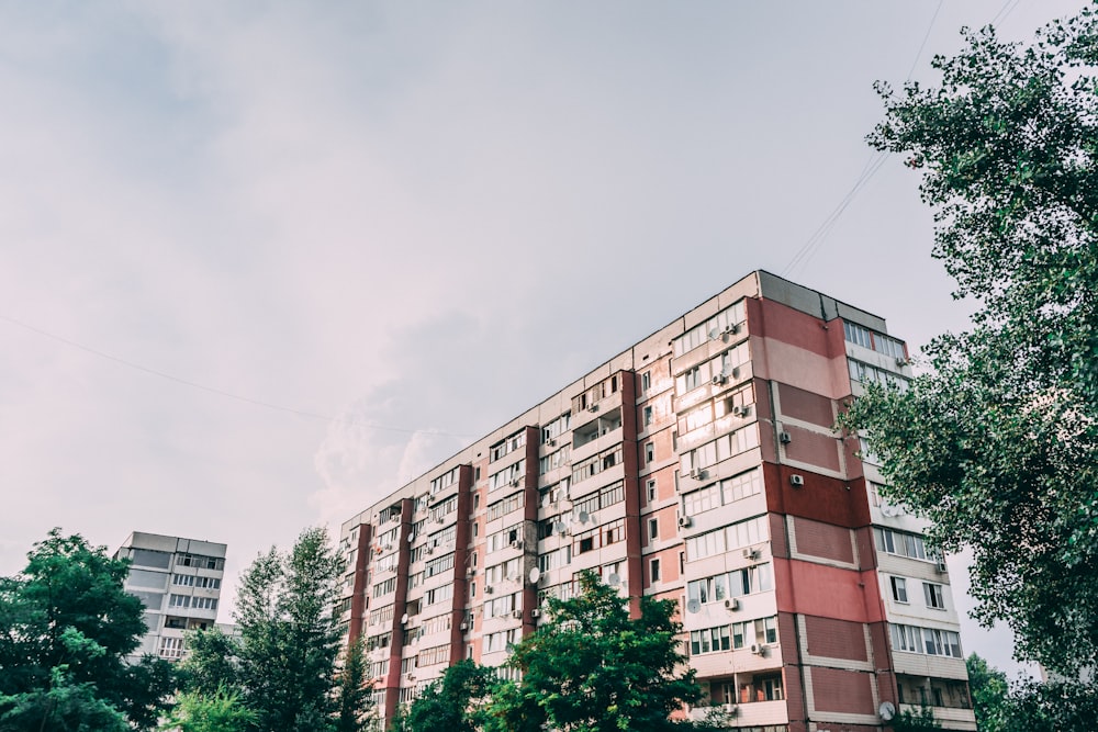 brown and white concrete building