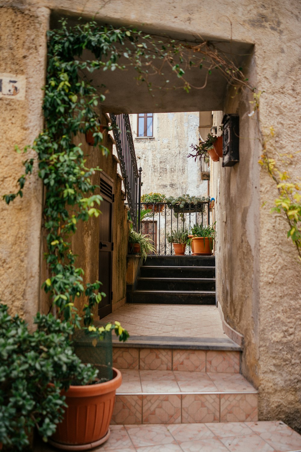 green potted plants on gray concrete stairs