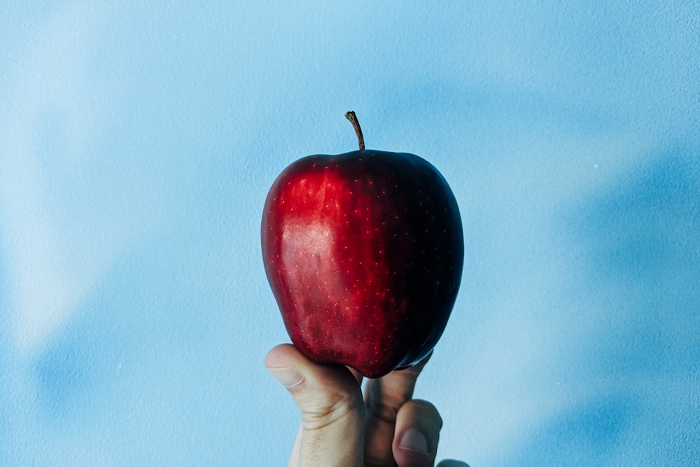 person holding red apple fruit