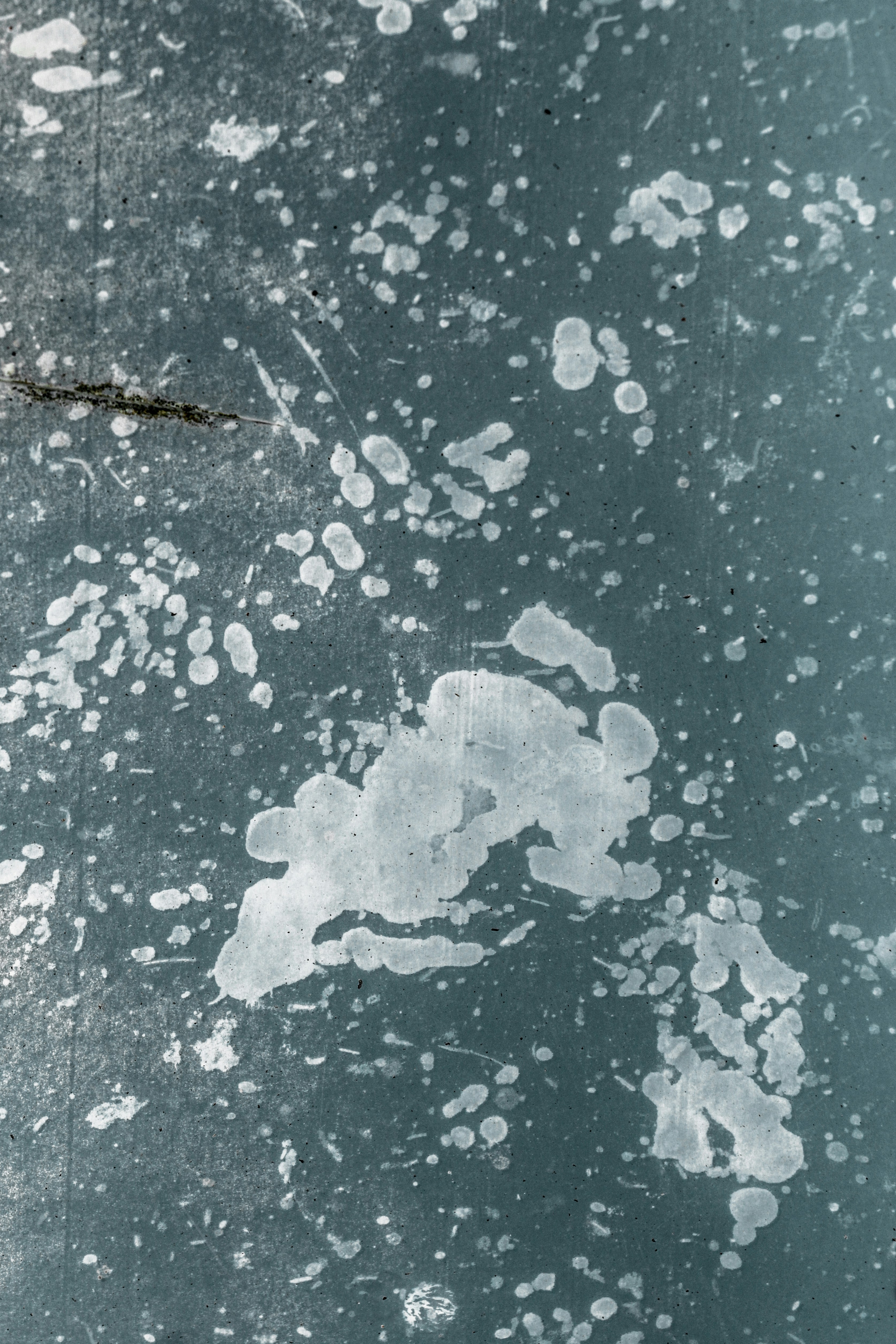 Photo by valentinsalja