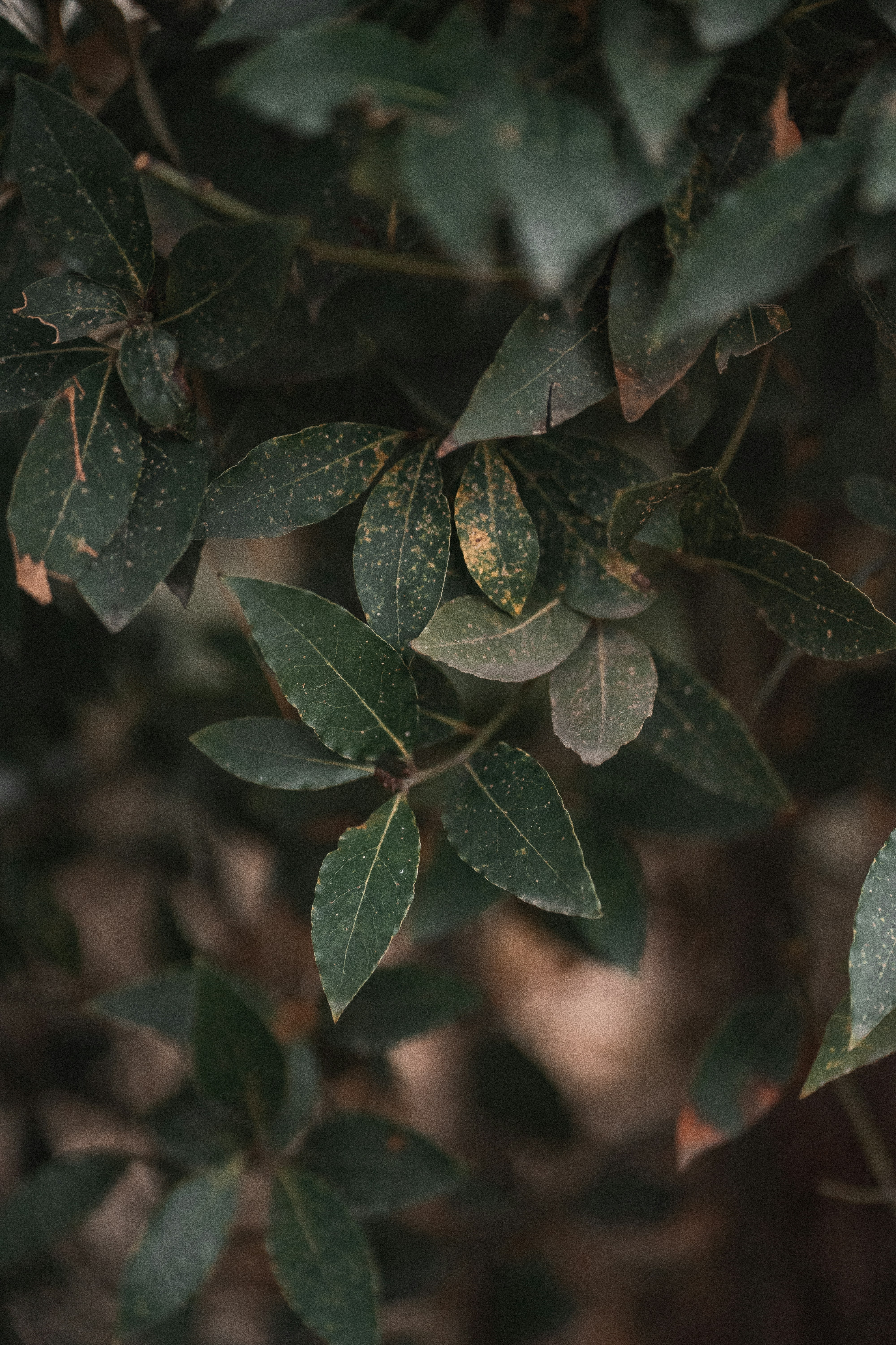 Photo by salvadorgodoyladrero