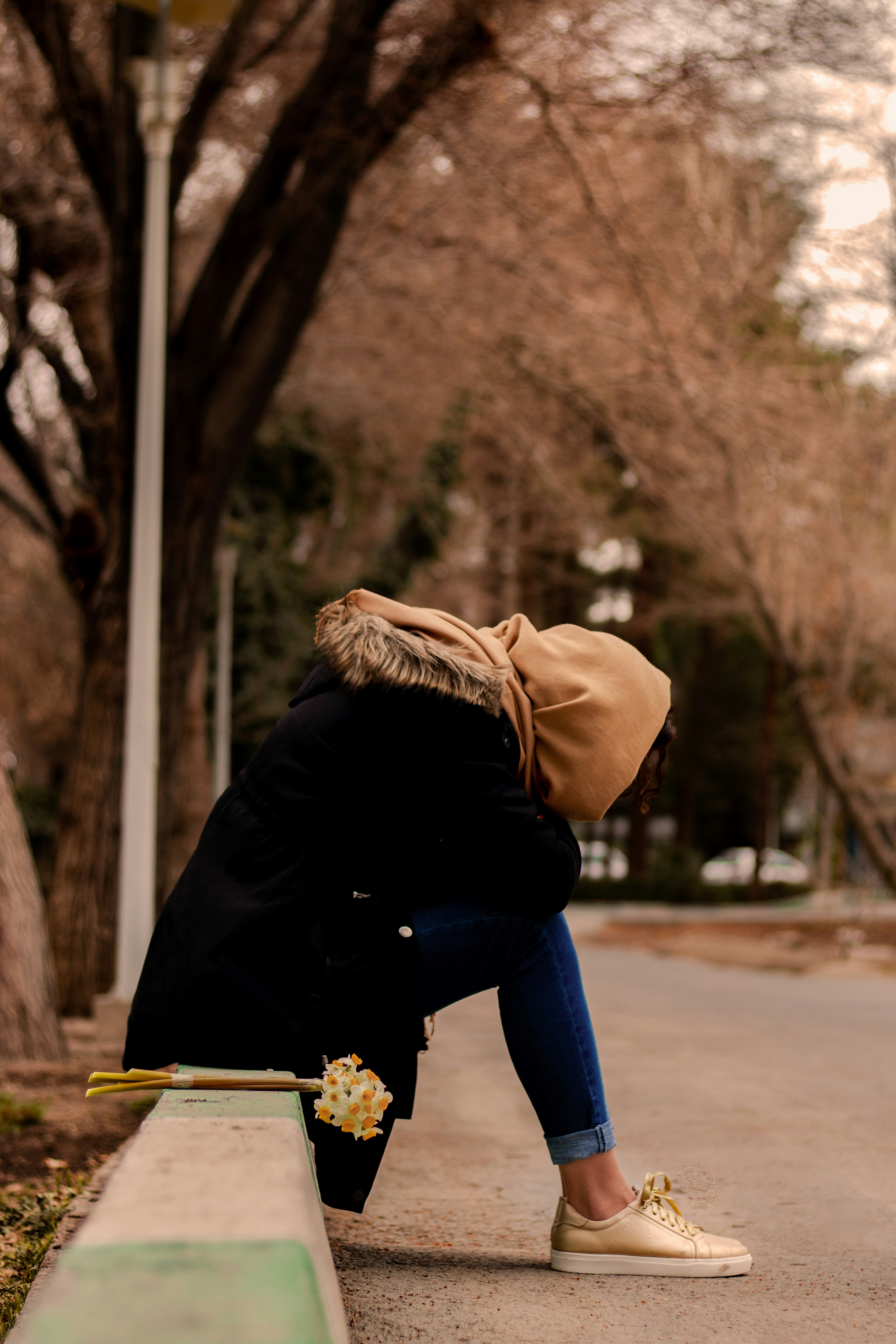 Photo by hamedpicsart