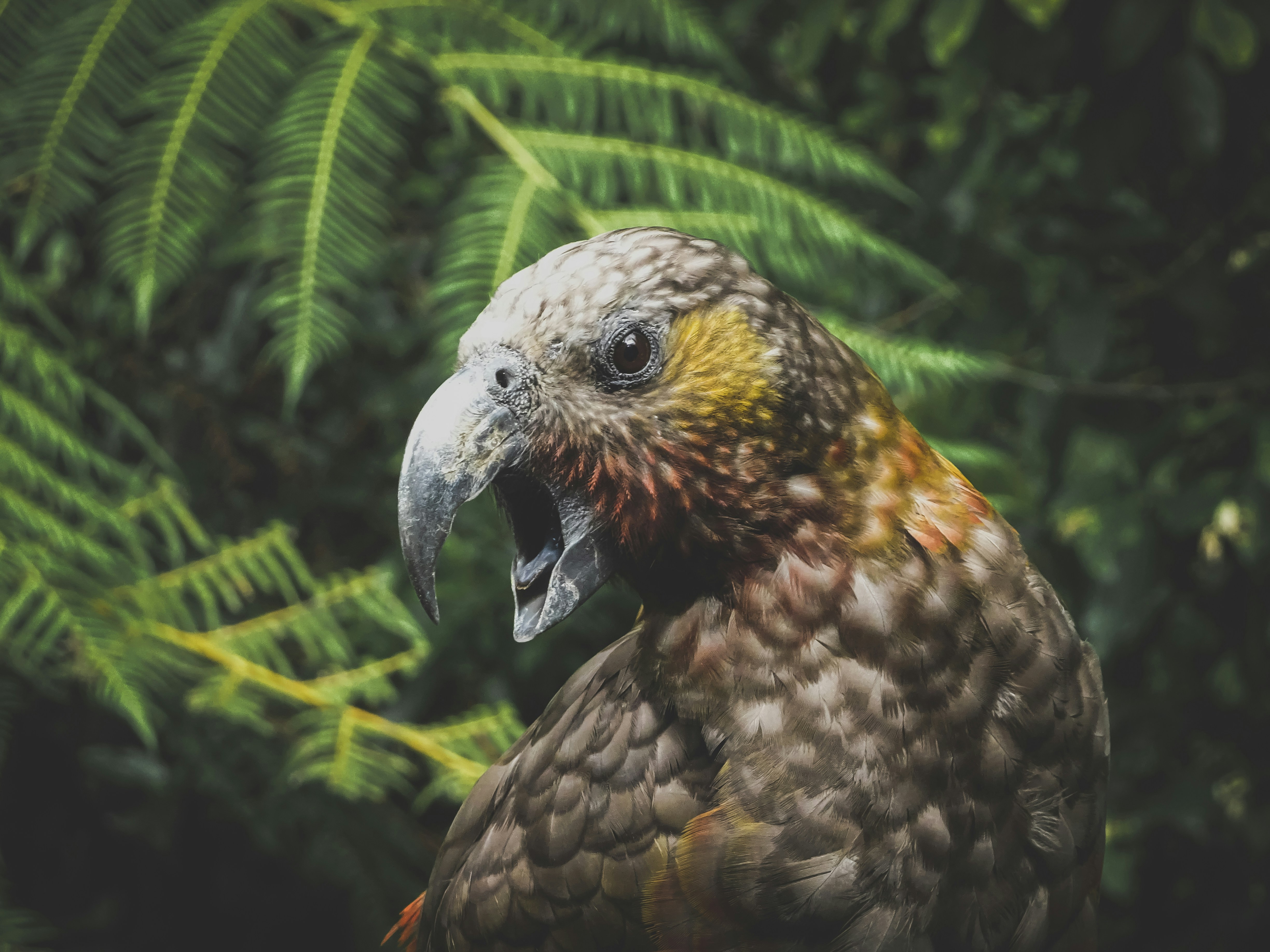 Photo by matthiasspeicher