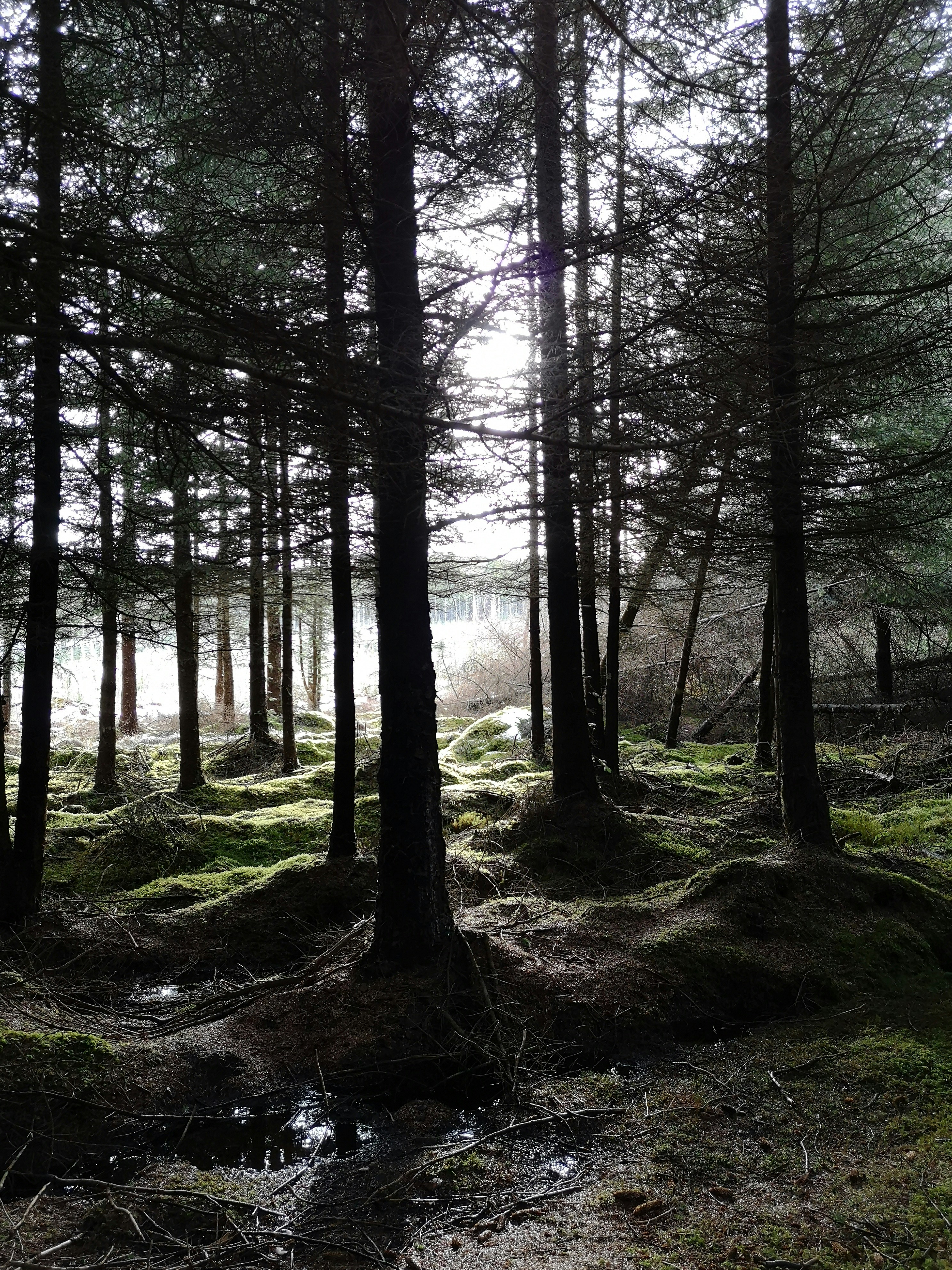 Photo by iamthomasurquhart