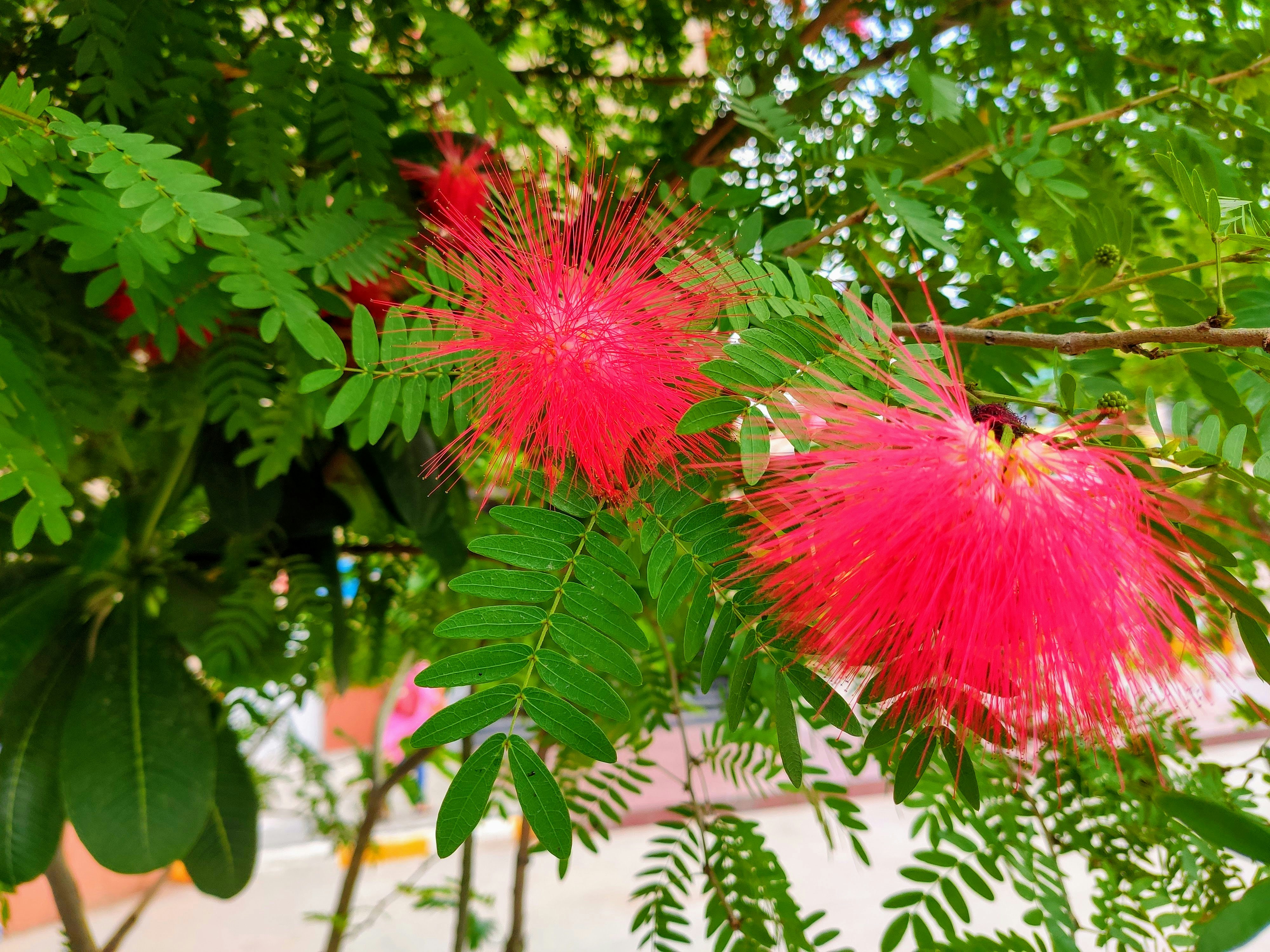Perminder Kumar (@perminder) | Unsplash 사진 커뮤니티