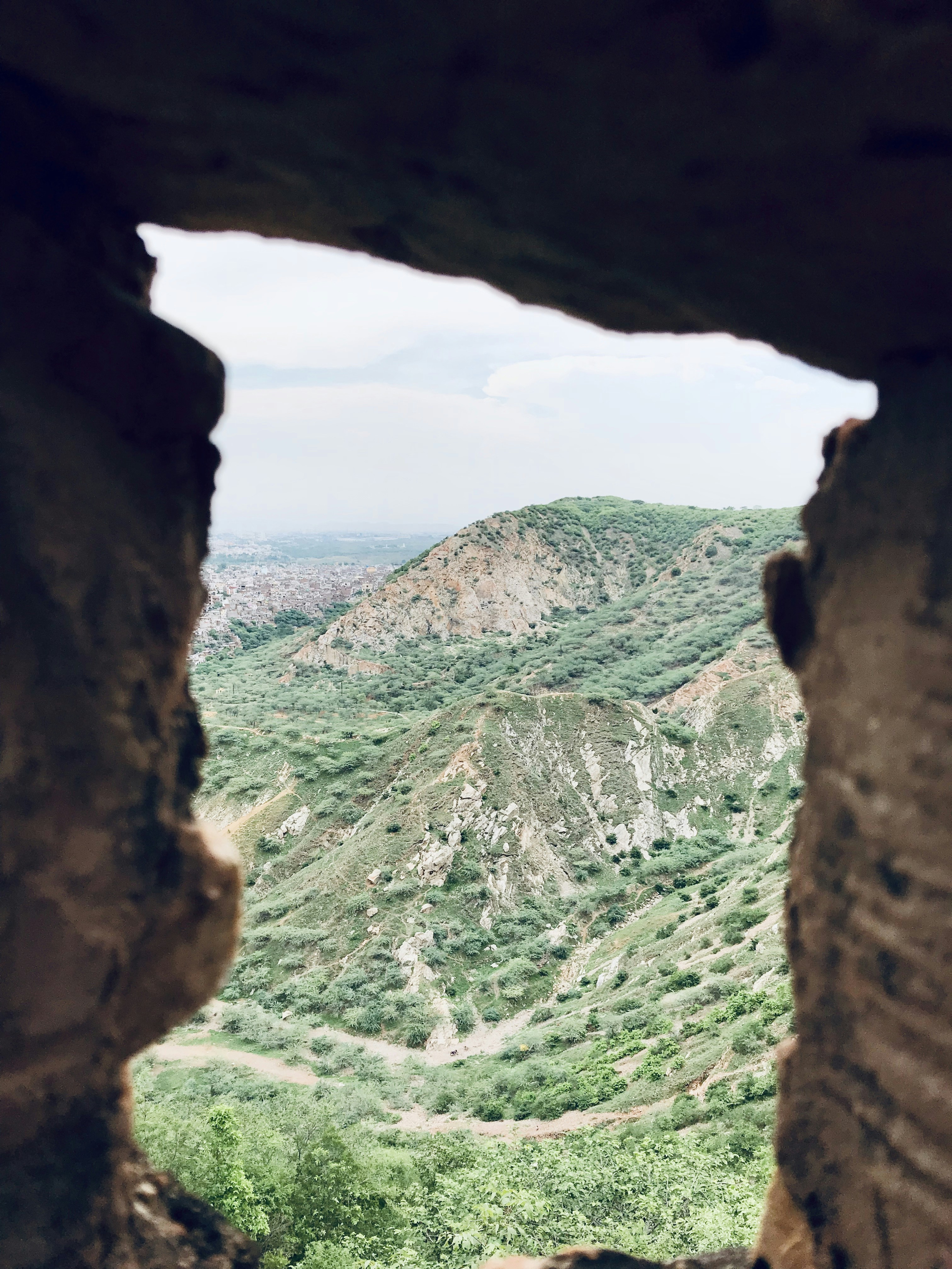 Photo by dr_eamers_unsplash