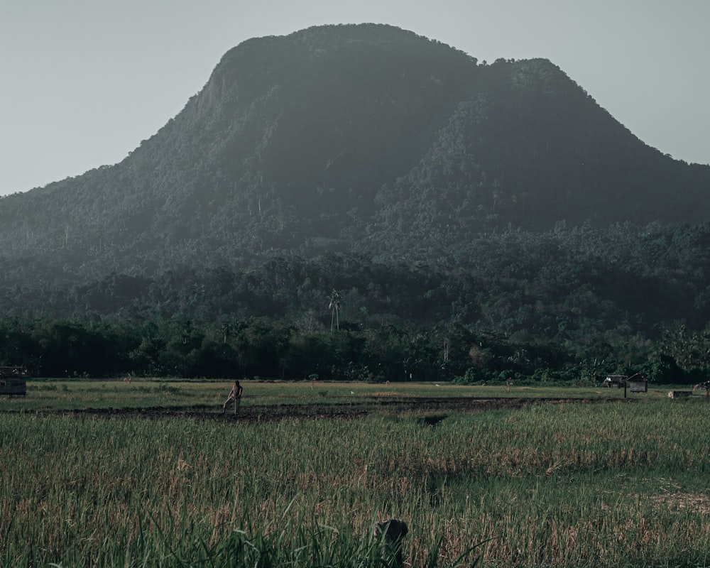 green grass field near mountain during daytime