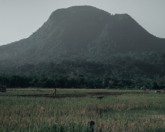 green grass field near mountain during daytime in Singkawang Indonesia