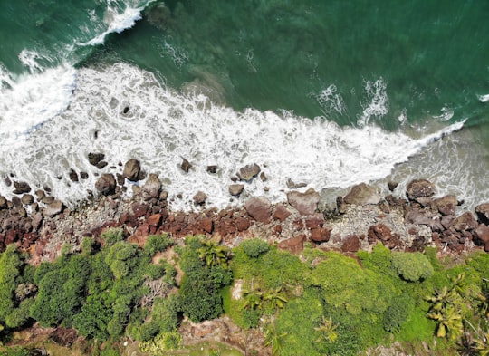brown rocky shore with green moss and brown rocks in Varkala India
