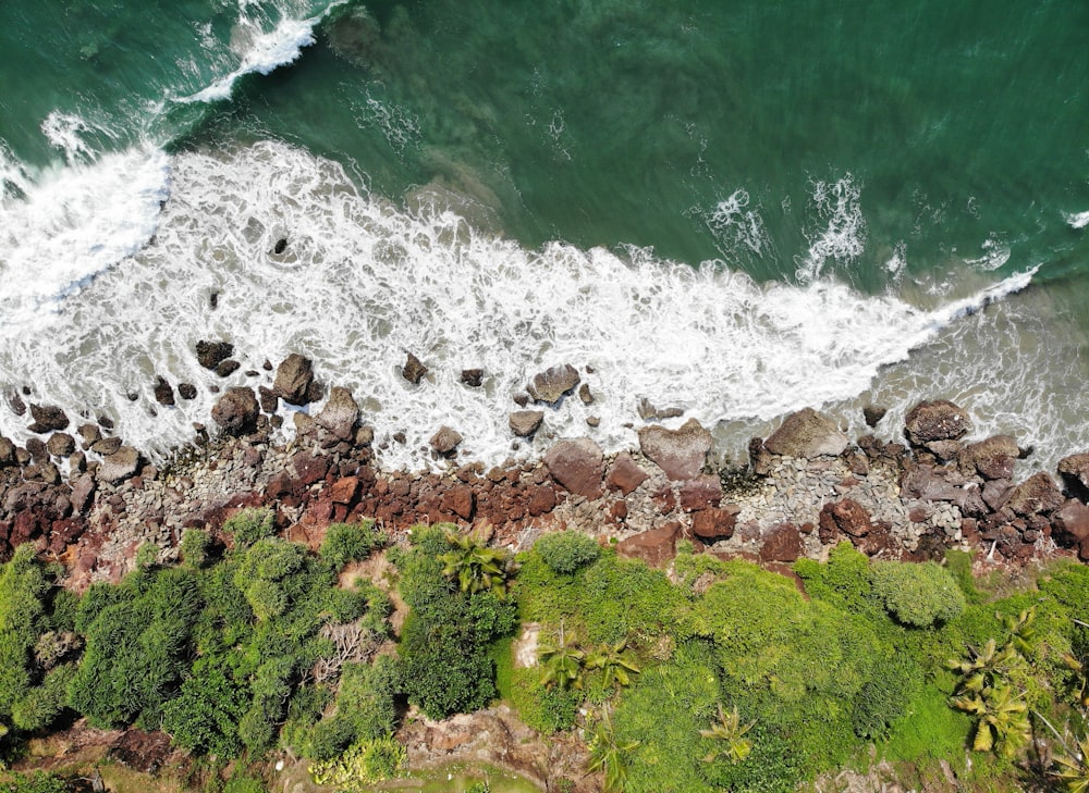 brown rocky shore with green moss and brown rocks