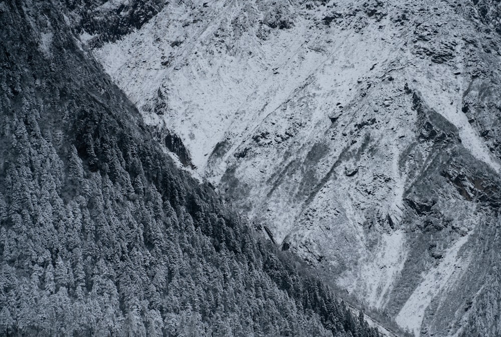 grayscale photo of mountain range