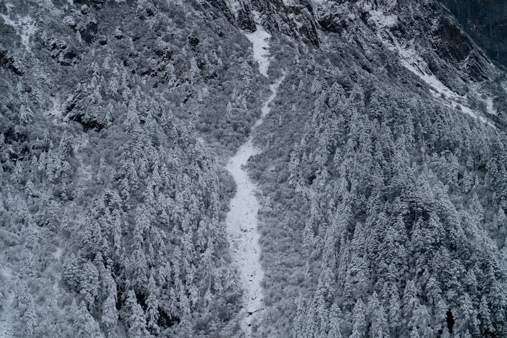 gray and white rocky mountain