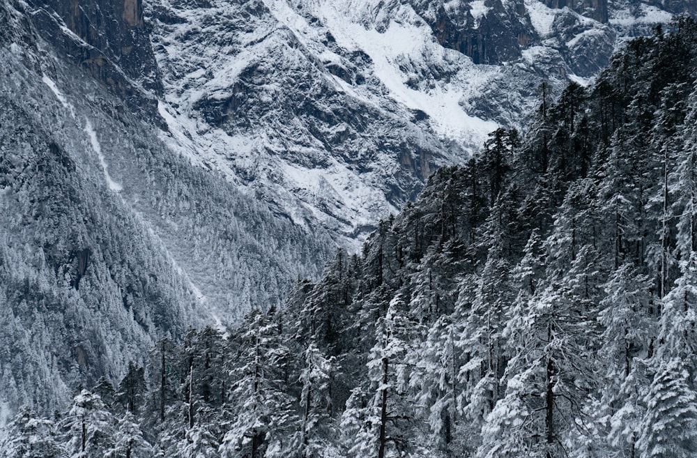 gray and white mountain under blue sky during daytime