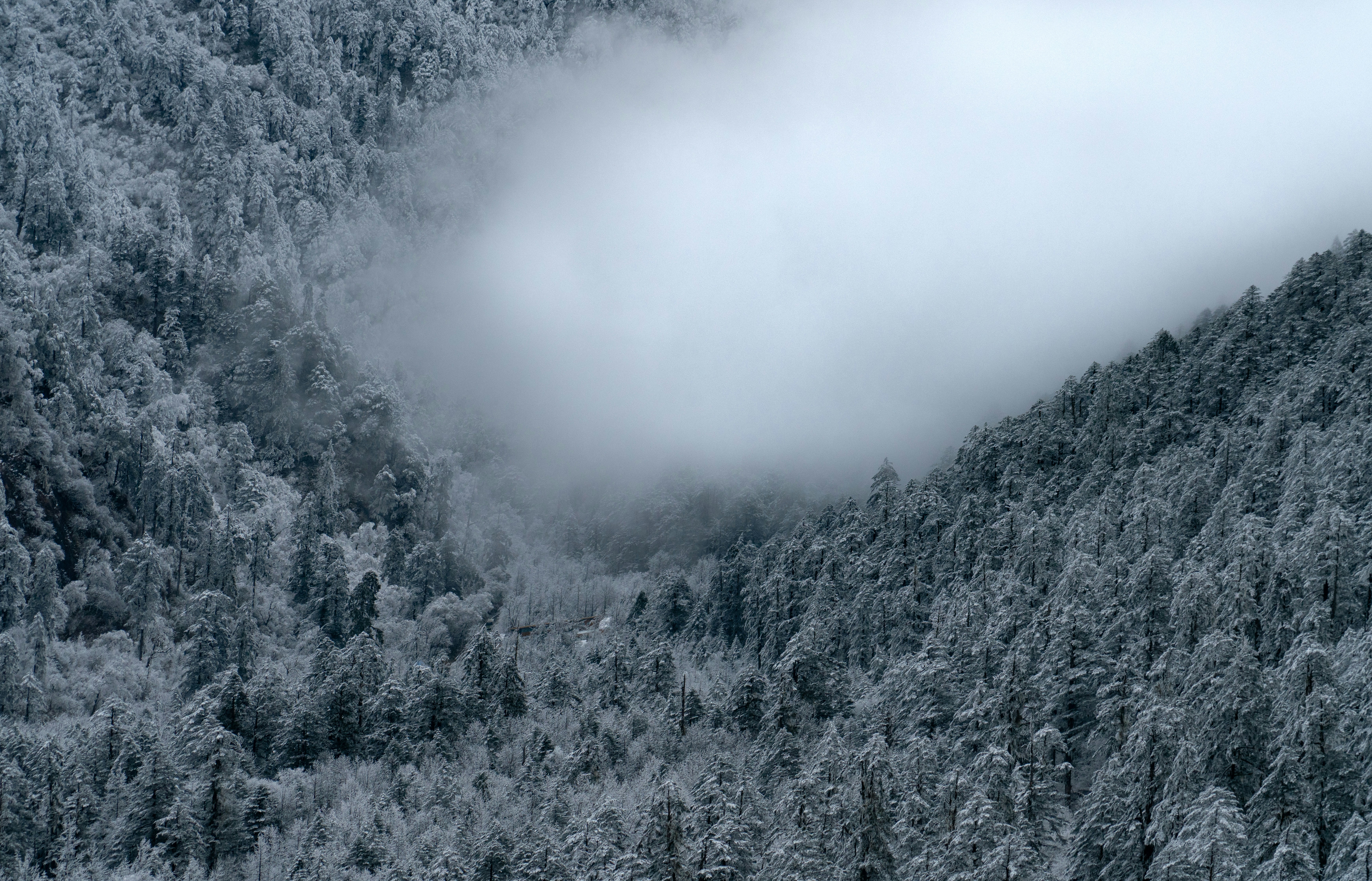 Photo by juniperphoton