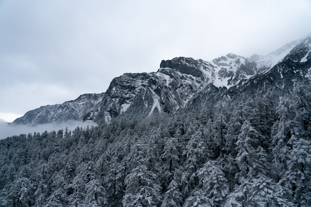 snow covered mountain during daytime