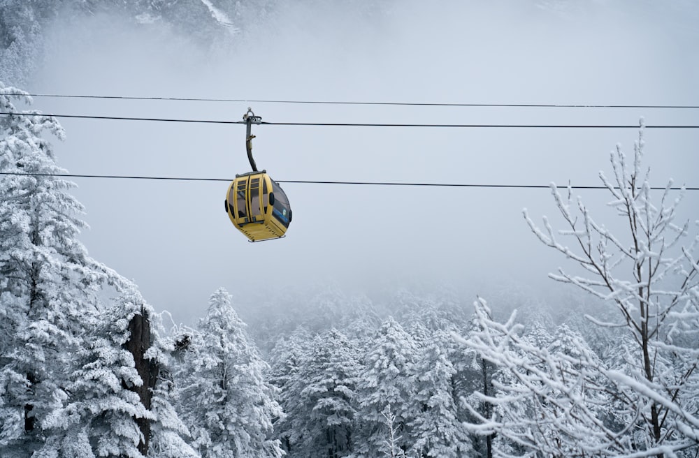 Teleférico amarillo sobre árboles cubiertos de nieve