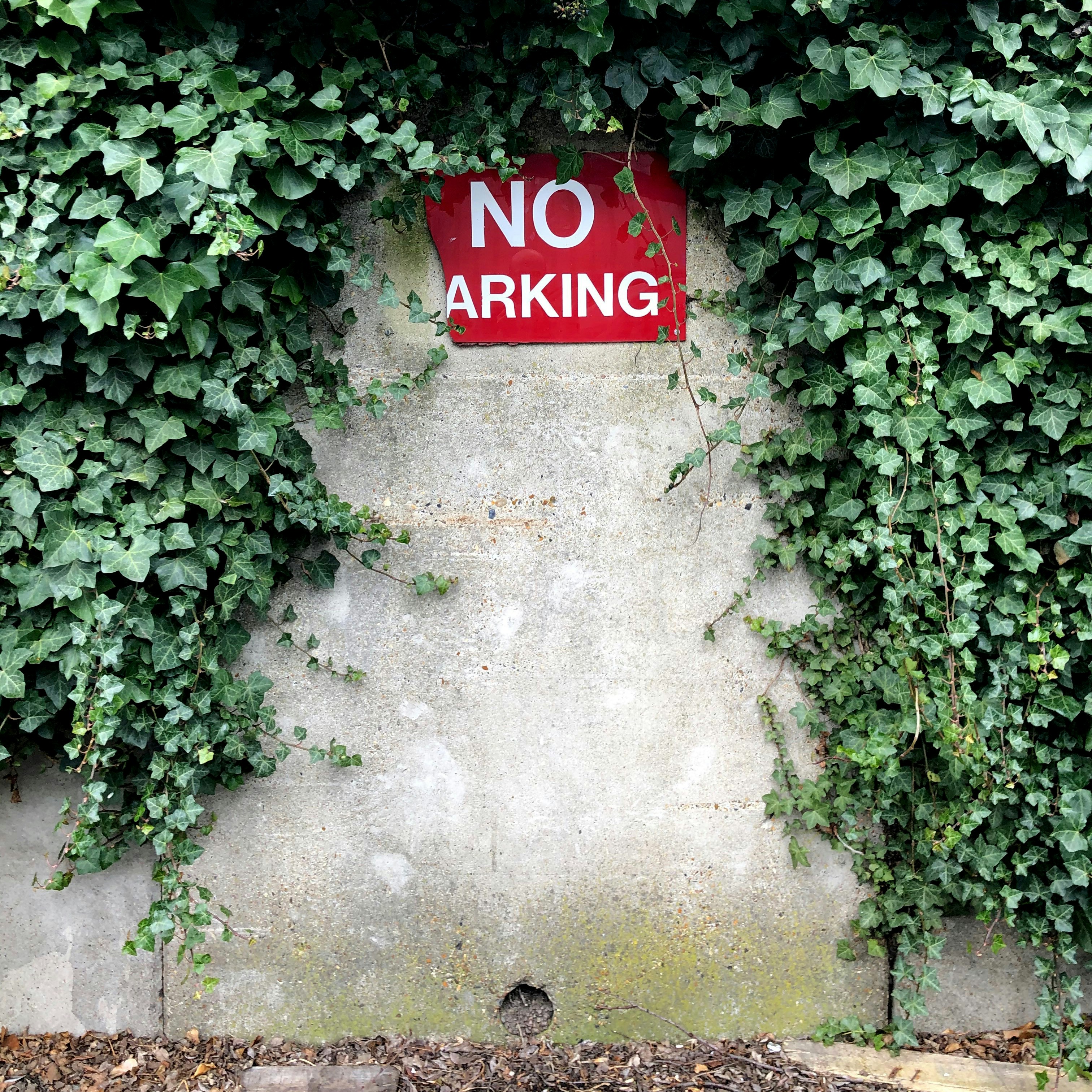 no parking, missing p, noah prohibited