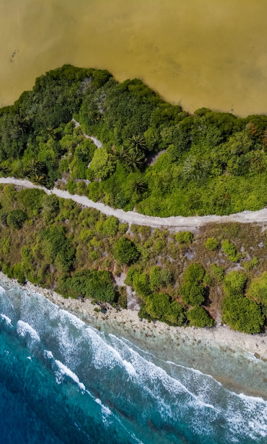 aerial view of green trees beside body of water during daytime in Kulhudhuffushi Maldives