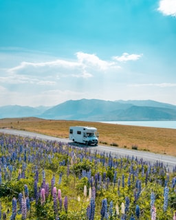 A white RV is parked on a roadside surrounded by a field of vibrant purple and pink lupine flowers. The scene is set against a backdrop of rolling hills and a calm lake with mountains in the distance under a bright blue sky with scattered clouds.