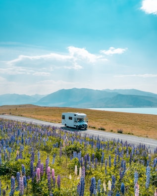 A white RV is parked on a roadside surrounded by a field of vibrant purple and pink lupine flowers. The scene is set against a backdrop of rolling hills and a calm lake with mountains in the distance under a bright blue sky with scattered clouds.