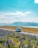 A white RV is parked on a roadside surrounded by a field of vibrant purple and pink lupine flowers. The scene is set against a backdrop of rolling hills and a calm lake with mountains in the distance under a bright blue sky with scattered clouds.