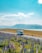 A white RV is parked on a roadside surrounded by a field of vibrant purple and pink lupine flowers. The scene is set against a backdrop of rolling hills and a calm lake with mountains in the distance under a bright blue sky with scattered clouds.