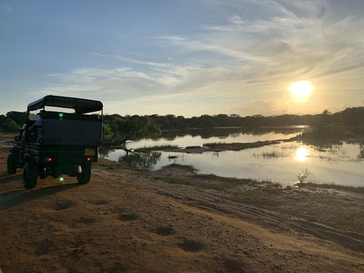 What Are The Best Factors to Consider Before Planning a Family Safari in Yala  
