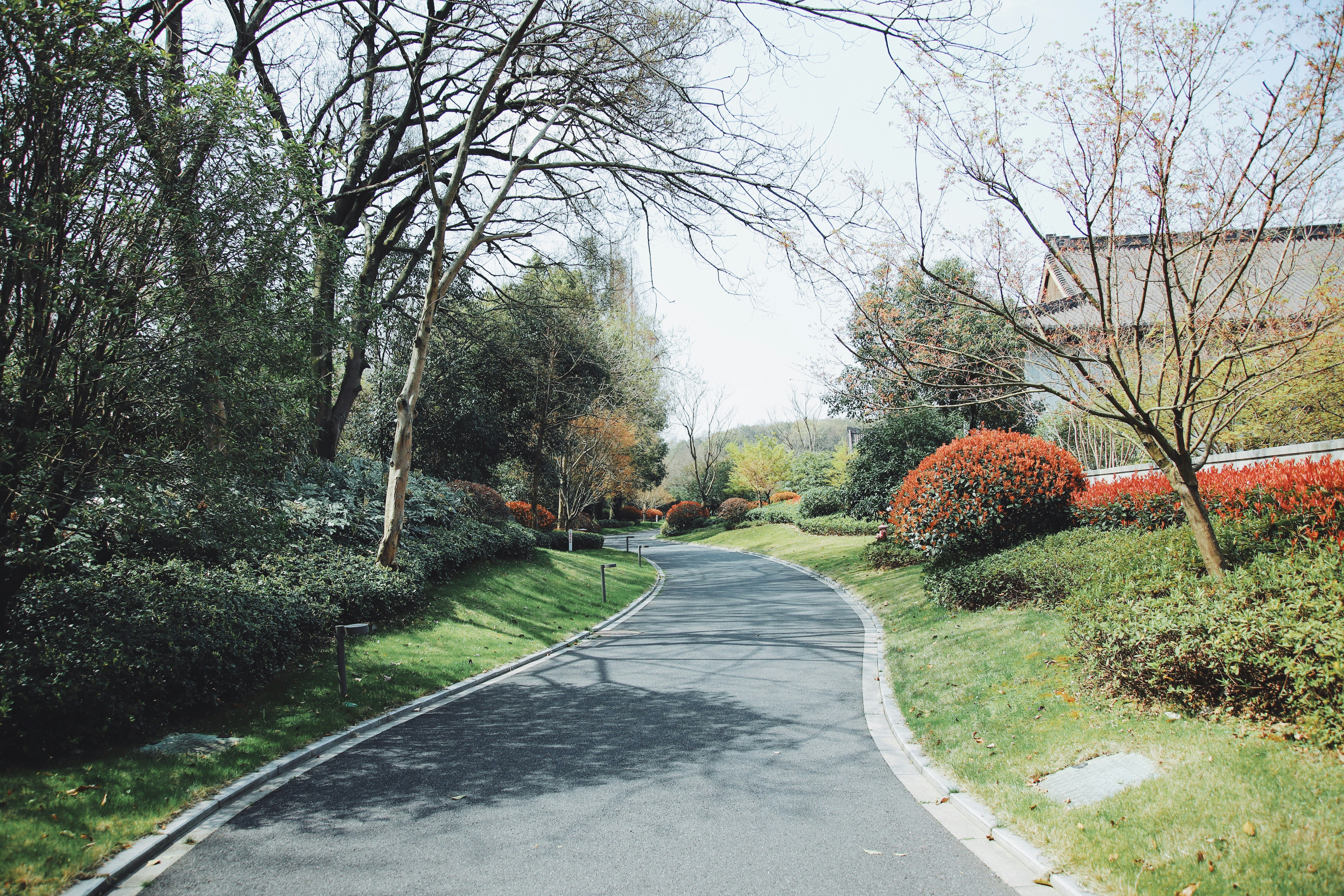 Standard Residential Driveway Guide