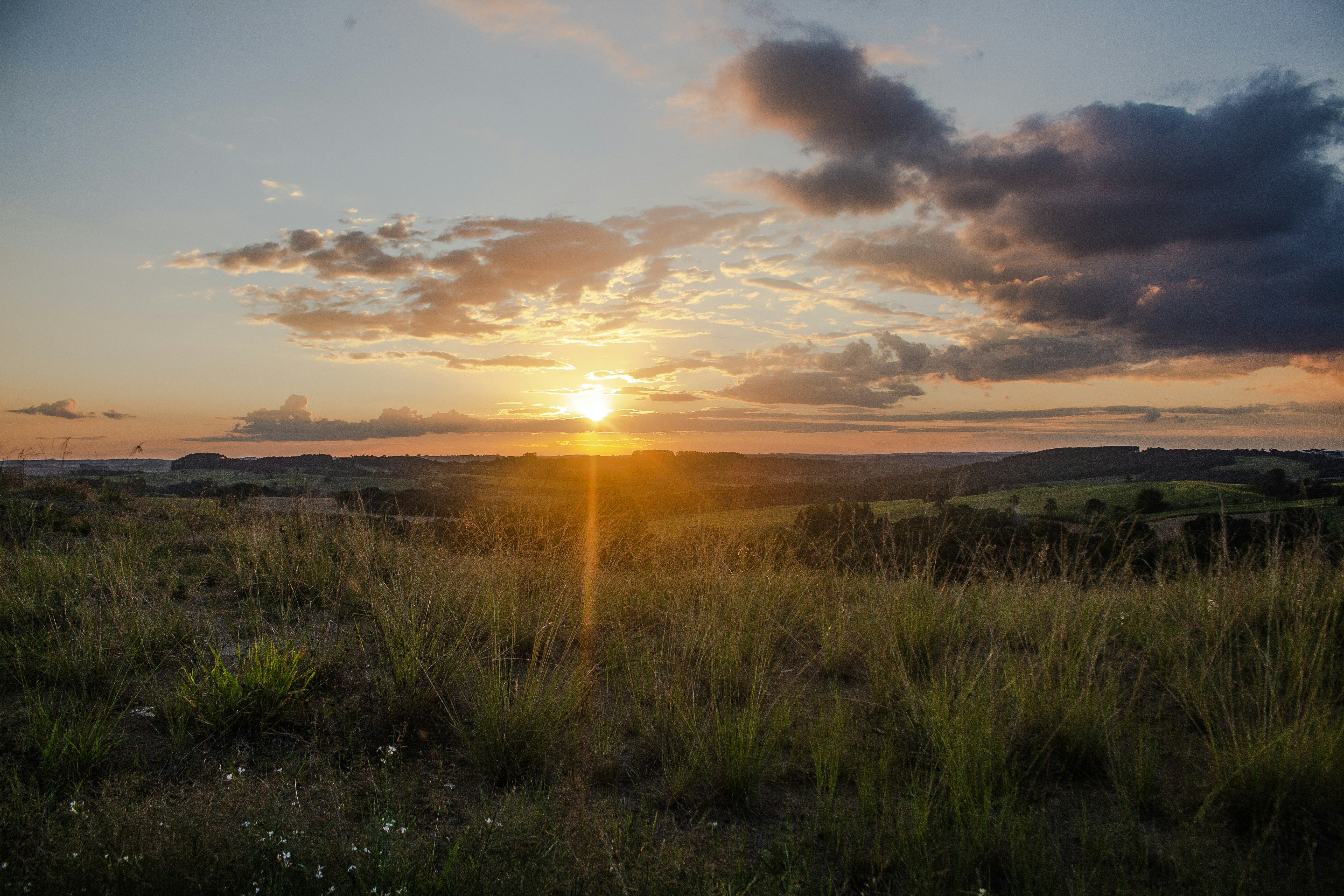 Photo by halannahalila