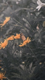 A calm nature scene with a butterfly resting on a leaf, symbolizing transformation.