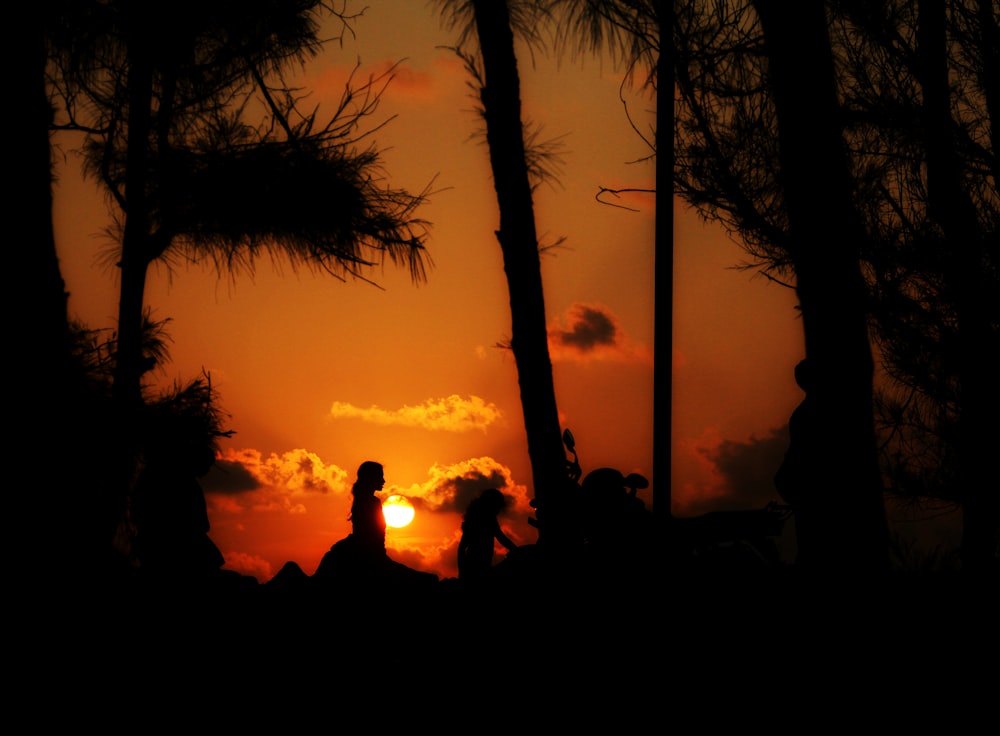 silhouette of people standing and sitting near palm trees during sunset