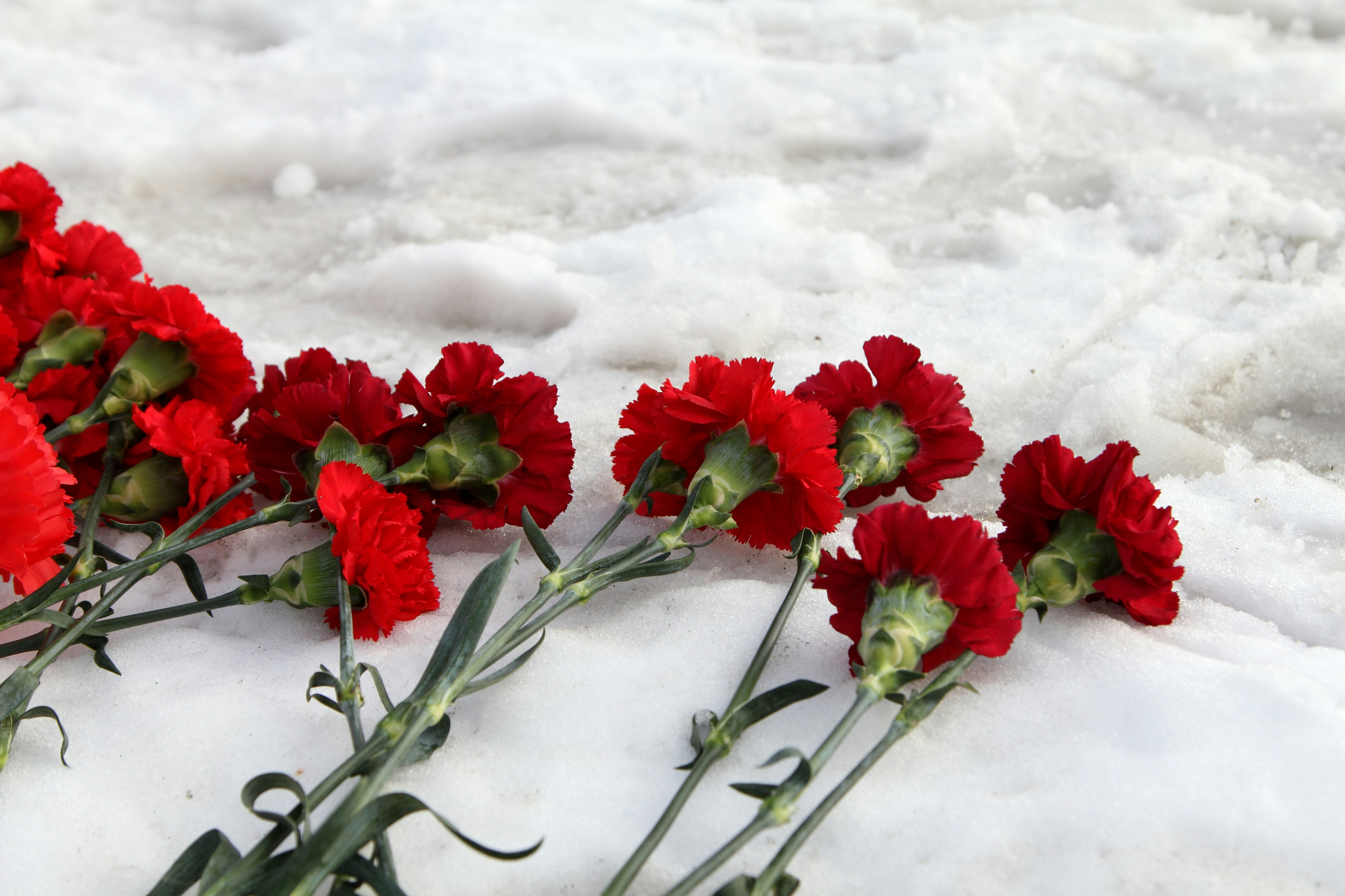 Winter Wishes Bouquet: 25 Heartfelt Notes to Warm Hearts