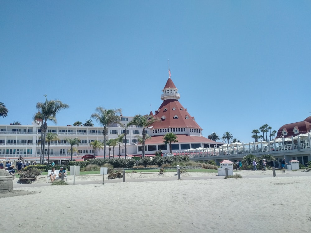 people walking on park during daytime