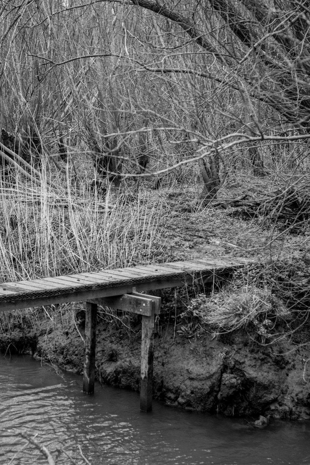 Bridge photo spot Ridderkerk Kop van Zuid