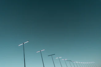 Government project featuring rows of modern solar street lights along a city road.